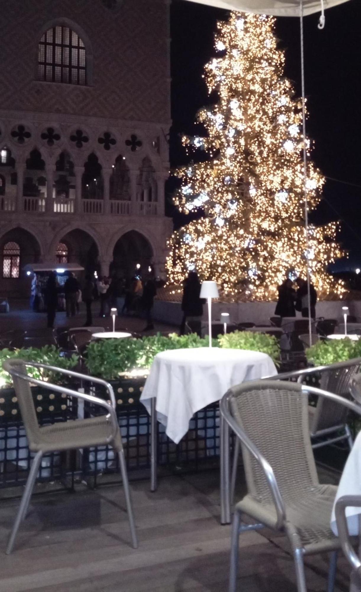 Biennale Frühstückspension Venedig